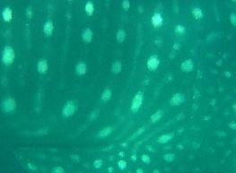 58178f08-c283-4592-9542-64789d74345f