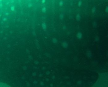 58178f08-c283-4592-9542-64789d74345f