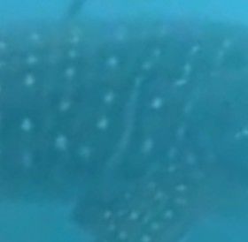 e5d7e857-9065-461c-b471-7664844c0c6c