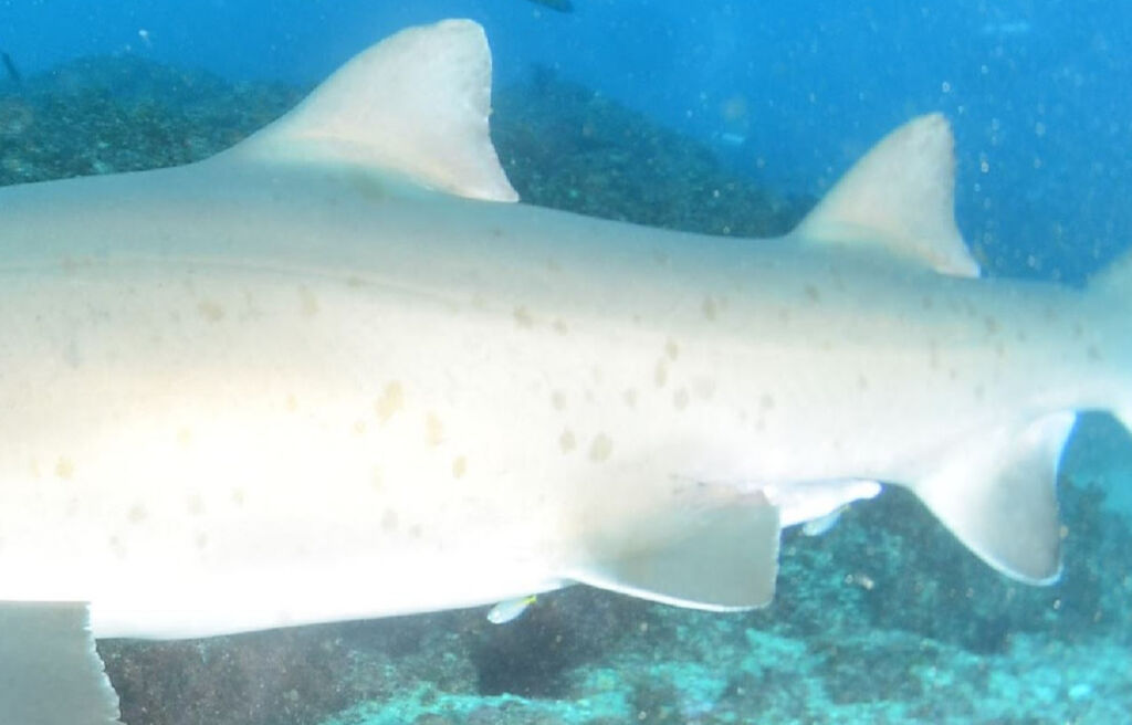 bc8d3d75-7841-46f4-b852-4f4fd0986b3c