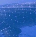 8e0205a6-81a5-4fca-bab8-27c7c0ba1657