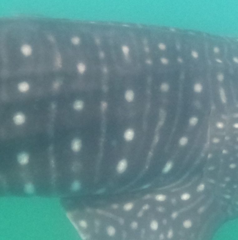 32c5a777-dc26-4db3-801c-34faf388dc50