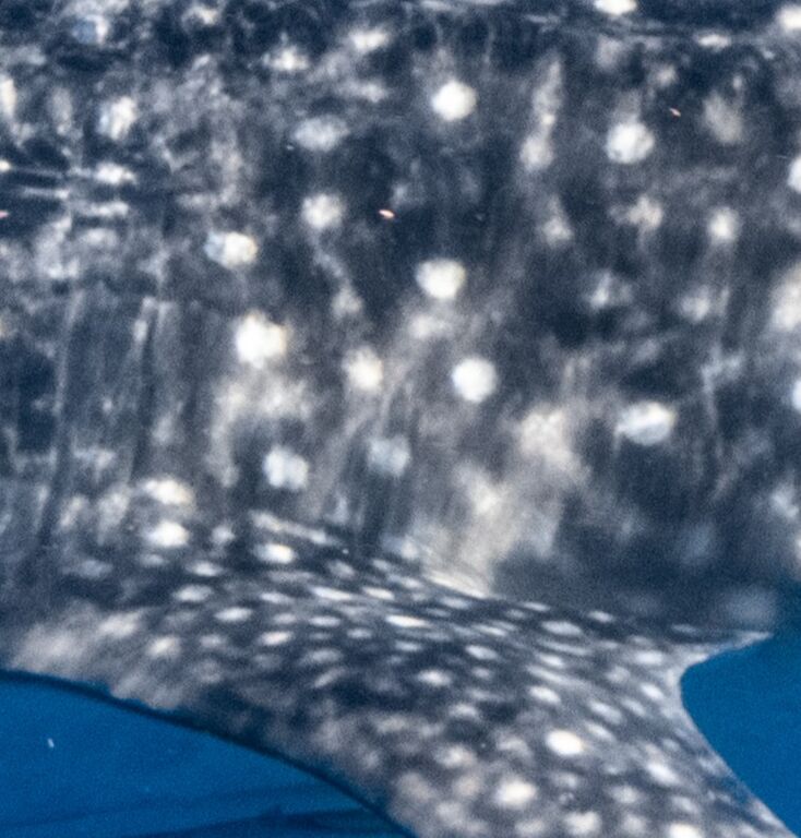 04e8253c-cbd7-43b8-9a14-0659067d5422