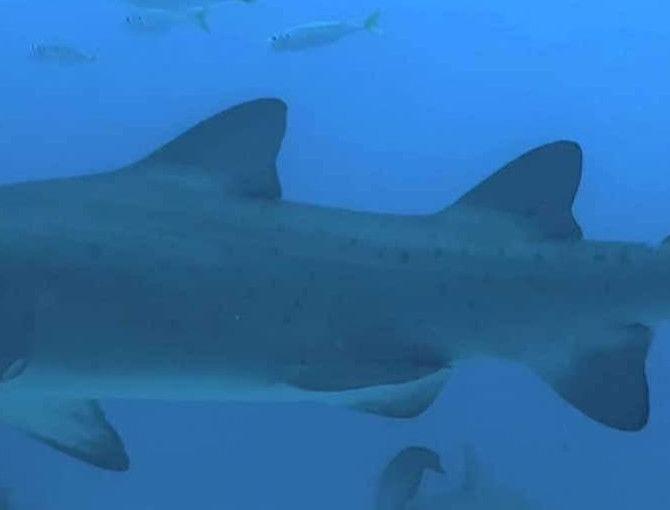 a20861d8-0be9-4afe-bf3b-9473c5e45689