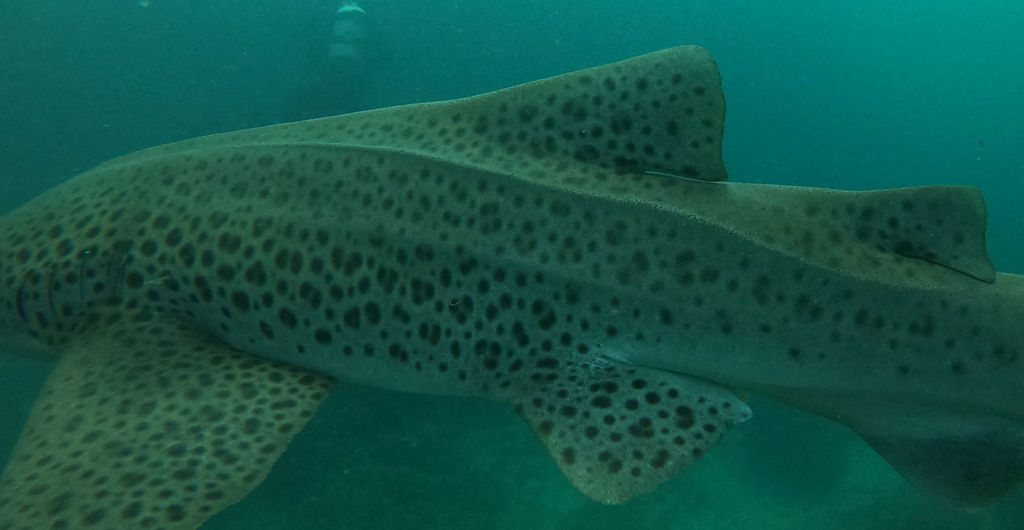 f0c4e632-4235-463a-8b6a-cdf61c20de40