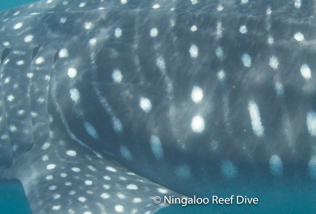 7b9dac9c-a6cb-472c-aad0-9b4e1dbbbdb3