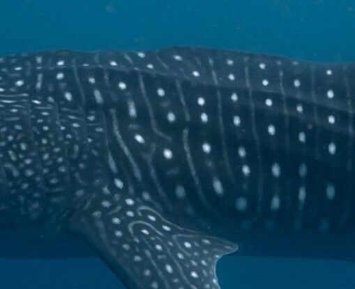 e65aeb3f-6582-4292-acc0-a4c36bb42e6c