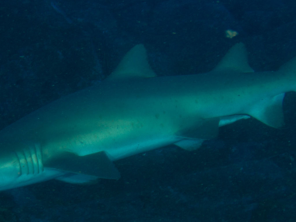 43647bc6-344f-4caf-a05b-590af3a2adac