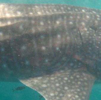 a4029d4f-2fb0-42a8-87fb-30678cc896ce