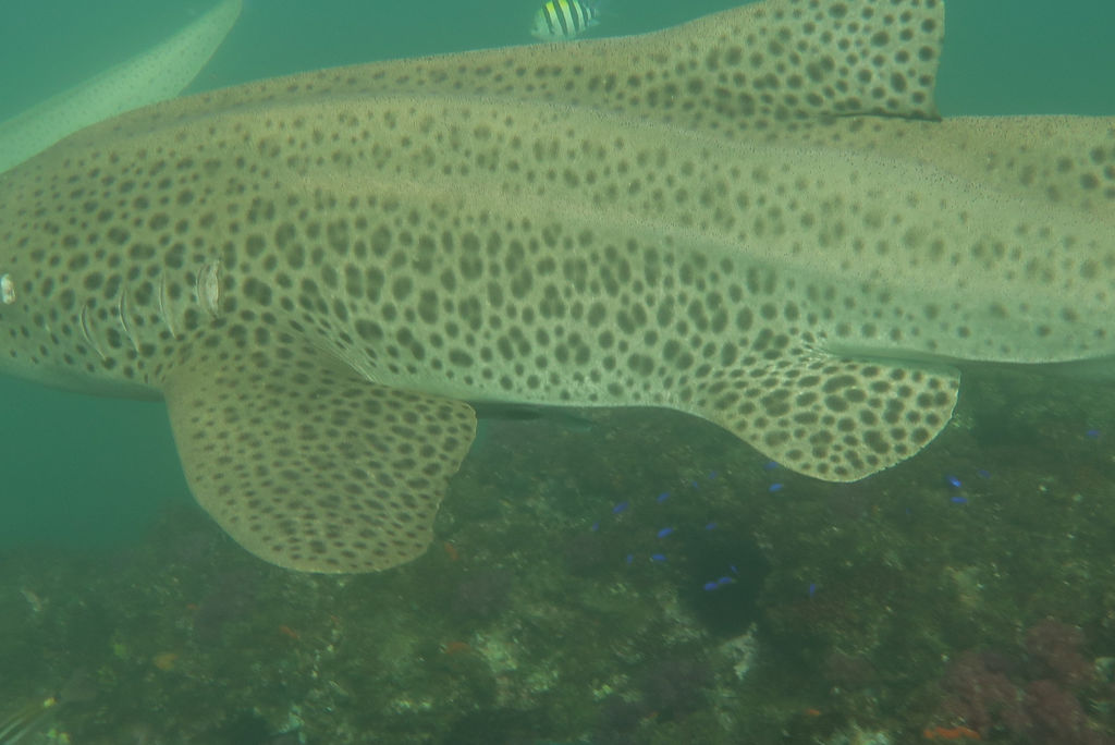 a13f2ac7-478b-43b3-87ea-4631171600e8