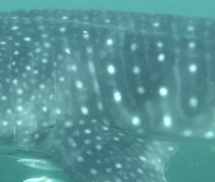 03be09d0-7c9c-441a-9d5c-54f4471fae4b