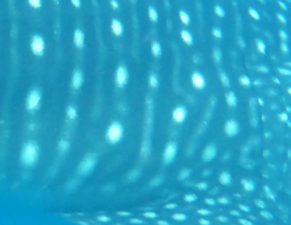 fc29b3d6-2953-468b-92a1-583f73638d34