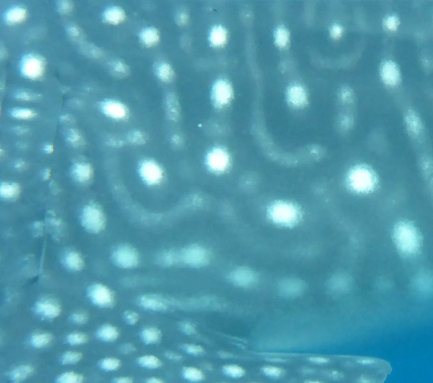 fc29b3d6-2953-468b-92a1-583f73638d34