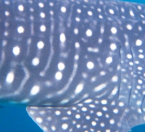 5283a79e-e404-4b7d-baa9-2a8e50bea2db