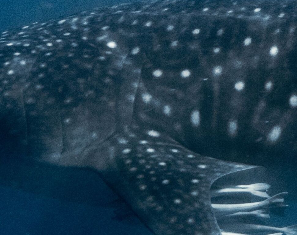 c166e07e-377c-4226-a261-ab139a974d16