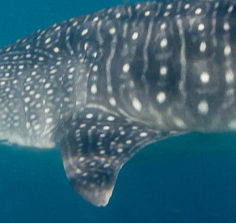 7cc0202f-5981-403e-b6d1-31d5d2f6c6c2