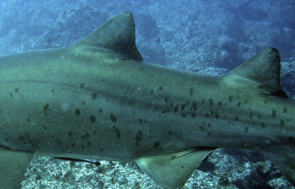 eb097c98-6799-4e38-8cb9-2e364e5df88f