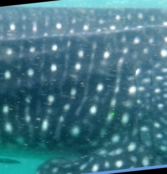 8dfb3102-67f6-4b95-b4e5-bfa0321219e0