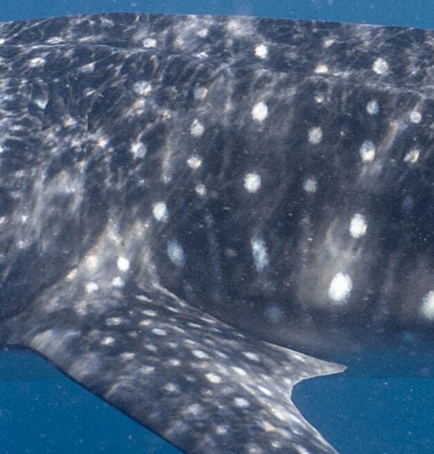 58296a3c-927e-4162-9547-87e2ac8c61f4