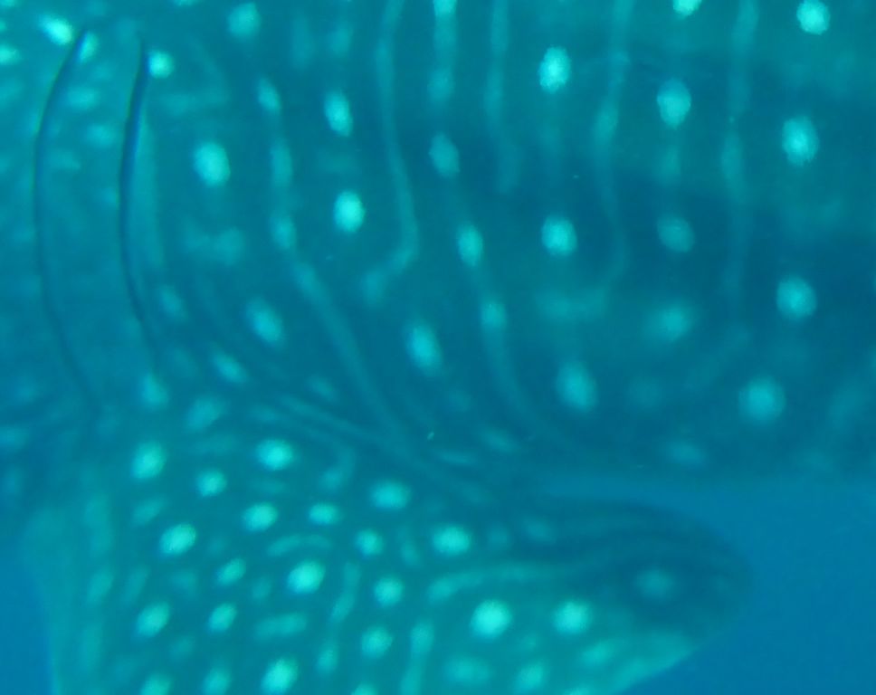 bd72a588-d713-4778-b439-174ee66cde85