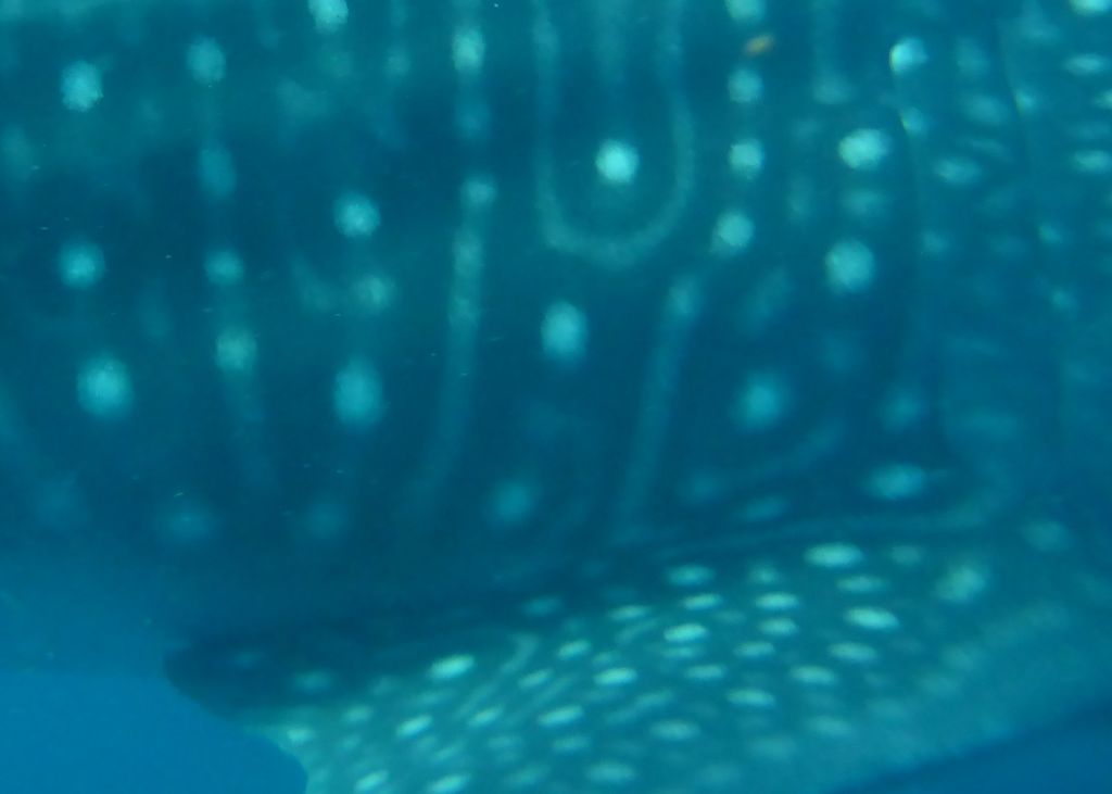 bd72a588-d713-4778-b439-174ee66cde85