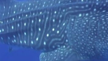 95adfbbd-be30-4a46-b73c-c2e1659a219f