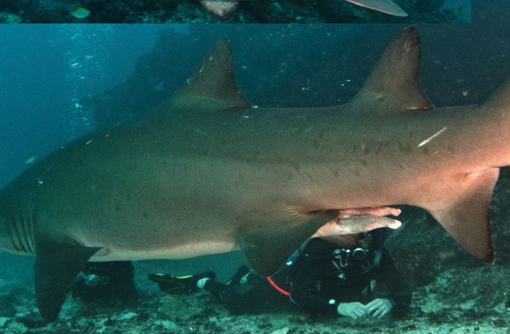 6c8df6e8-e5b3-41f8-a326-b0024df8f9e8