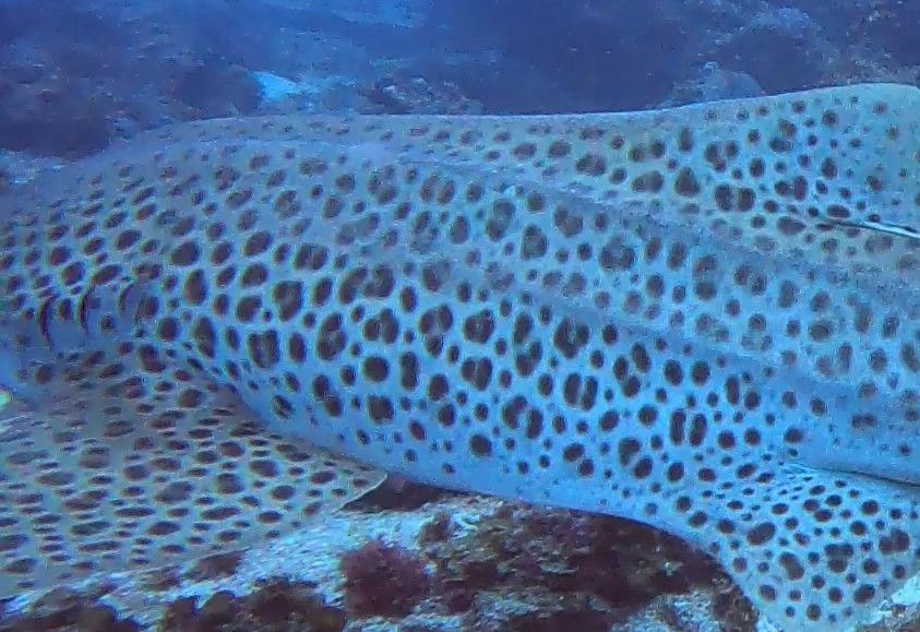 9779591a-3305-42a3-a038-8320758d8b99