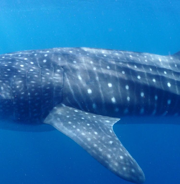 b0a9b784-d31e-492f-b451-a9e1520ba523