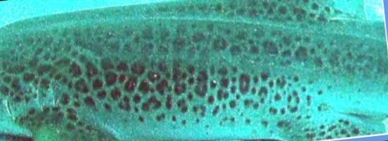 38dd91af-aa94-438f-a041-466acb4467de