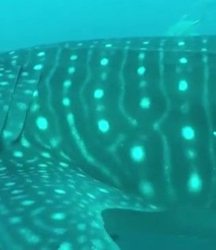 915a781f-eb7c-4ad9-8910-86e4784fe3da