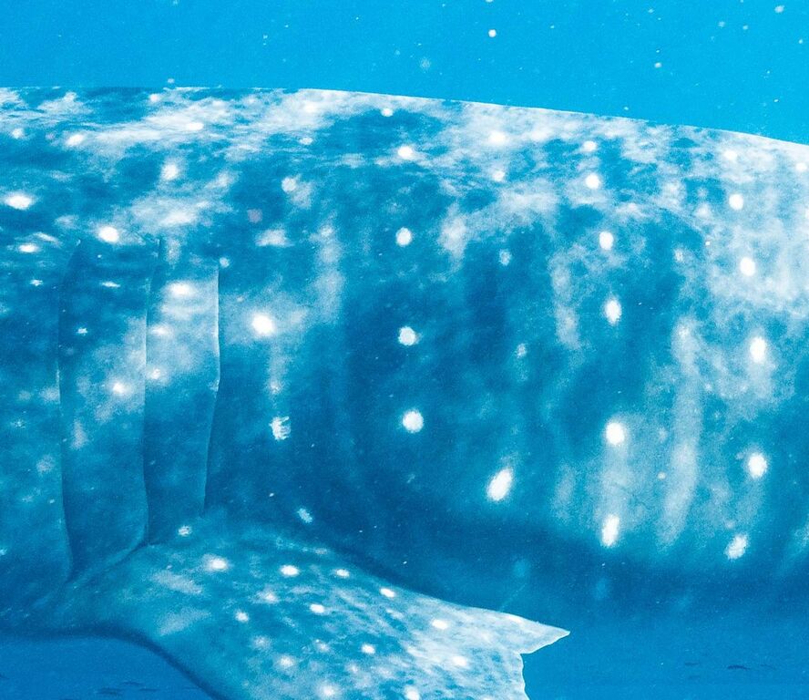 4604d6a6-232a-4fb5-adf3-cb17ad70f772