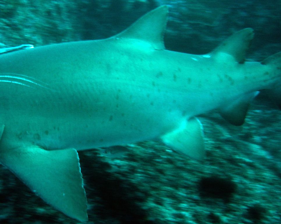 76636d52-7fd2-4c1d-ba86-bdbc13052b97