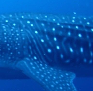 9c3ab800-69fb-4017-bdd8-02fb4e2996cb