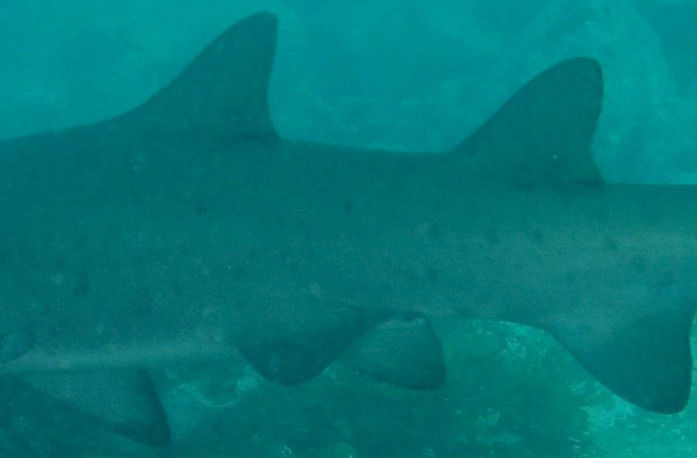 91b366ea-db18-4652-a51d-a6e5db32a668