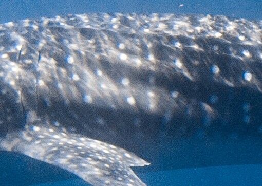 95222eeb-79f9-40f8-a324-5396052207cc