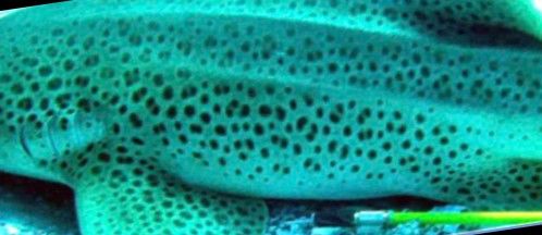 b5d582d6-13cf-4064-89eb-e15f2f05cf5d