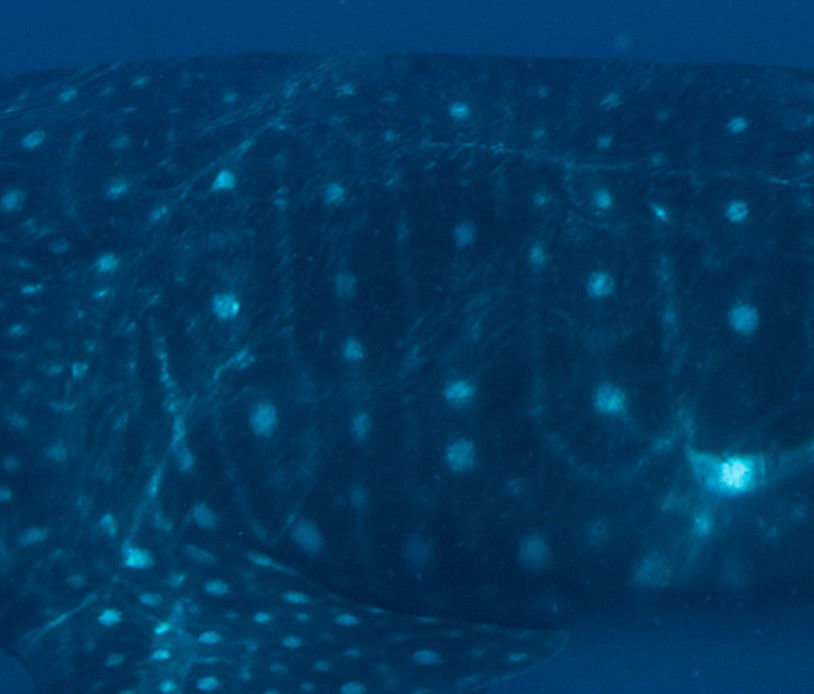 3bdc2afa-4006-49de-b3f7-ed024bdccbc0