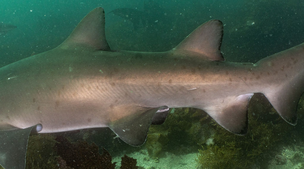 53612317-c837-4af7-a299-86df2867ad1f