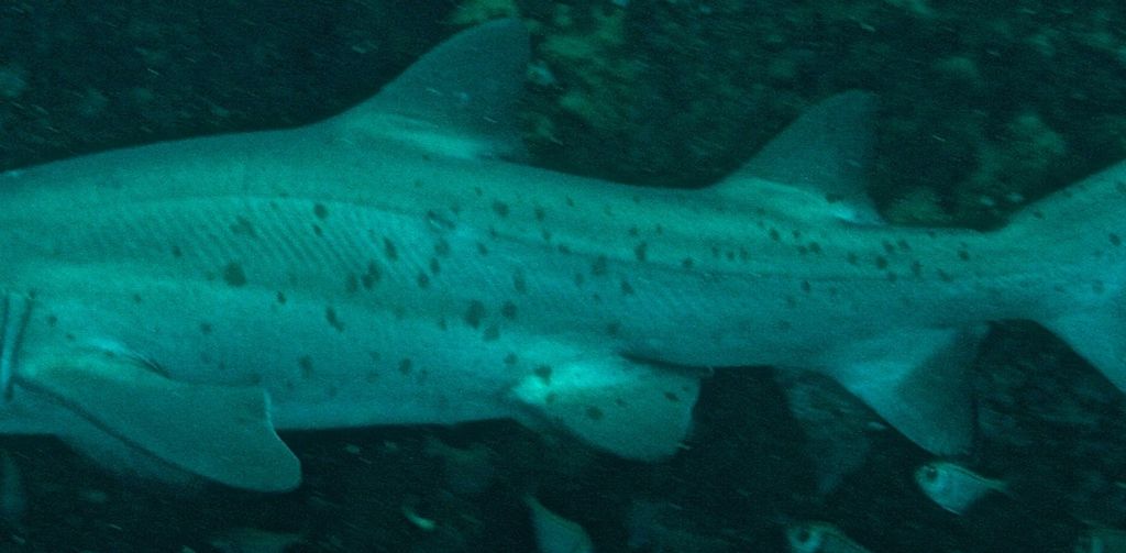 d5288981-279d-4192-931f-7042969a1718