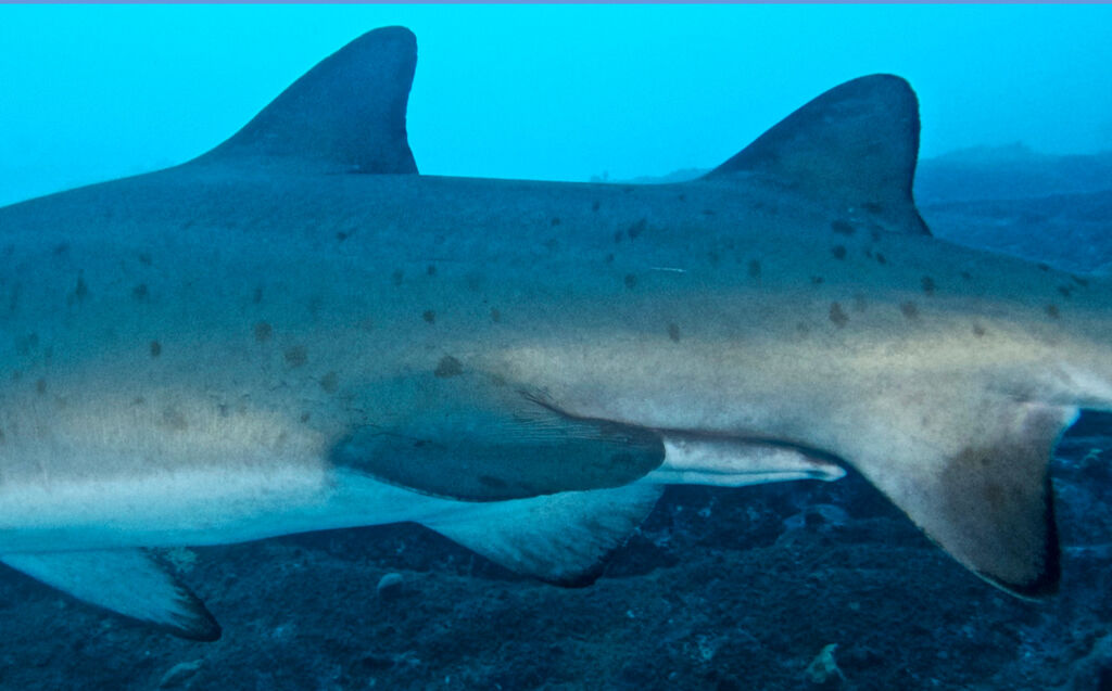 1be8b1f2-a53d-4e42-a8fd-17d7c1ea3519