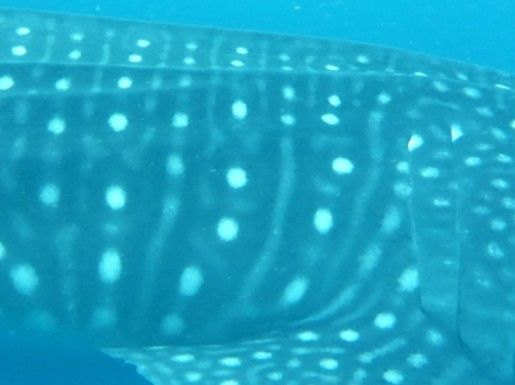 f2cbf1d5-c9ac-4730-a5c0-56bfd54b4d21