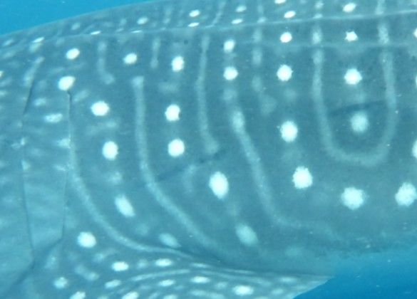 f2cbf1d5-c9ac-4730-a5c0-56bfd54b4d21