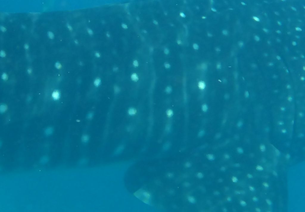 d815a1e4-b2e8-44e6-b04a-0d9ea574116f