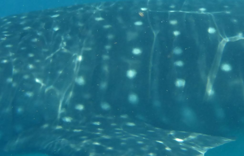 d815a1e4-b2e8-44e6-b04a-0d9ea574116f