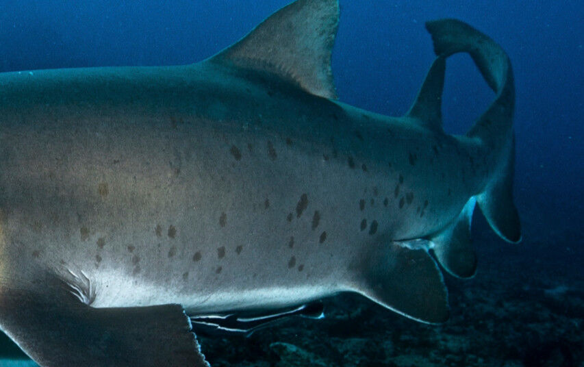 bc8d3d75-7841-46f4-b852-4f4fd0986b3c