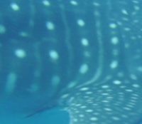 f6f17ce9-3630-479a-b9fc-28eafdc79cce