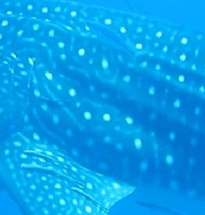 f6e06227-350e-4244-b657-70373af1405b