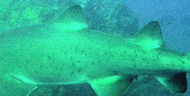 ab319bec-7c68-427f-8be0-b7863340860d