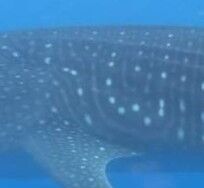 b295d352-b957-4781-a9b1-1bb03fa78220